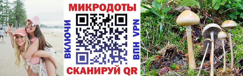 Псилоцибиновые грибы GOLDEN TEACHER KRAKEN онион Приволжский хочу наркоту